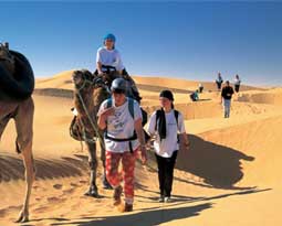 Family Vacation Image